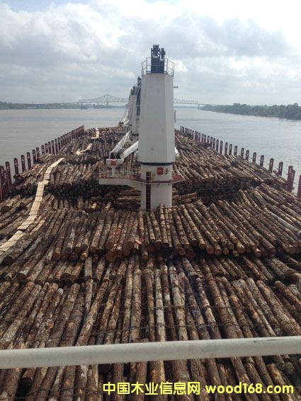 ��ľ����ľ����ľ