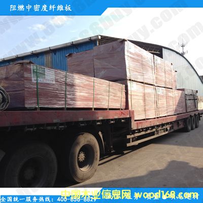 B����ȼ�ܶȰ��Ԕ��(x��)��B