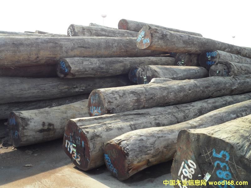 ���}���Ԕ��(x��)��B