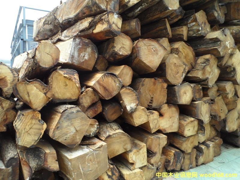 �������Ԕ��(x��)��B