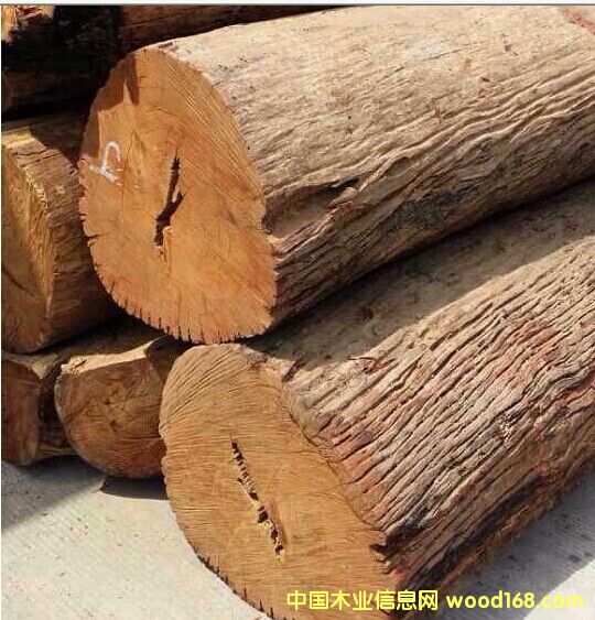 ���黨���Ԕ����B