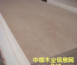 ȫ��ľʮ�����z�ϰ��Ԕ��(x��)��B