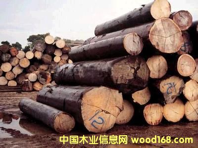 �c(di��n)���鿴�|�ρ��Ŵ�DƬ