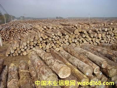 �c(di��n)���鿴�|�ρ��Ŵ�DƬ