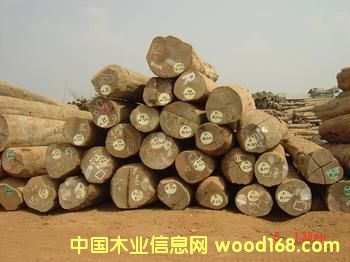 �c(di��n)���鿴�|�ρ��Ŵ�DƬ