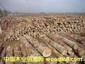 �c(di��n)���鿴�|�ρ�ľ�ķŴ�DƬ