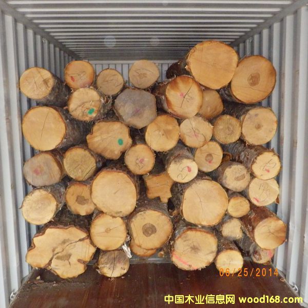 ��ľԭľ��Ԕ��(x��)��B