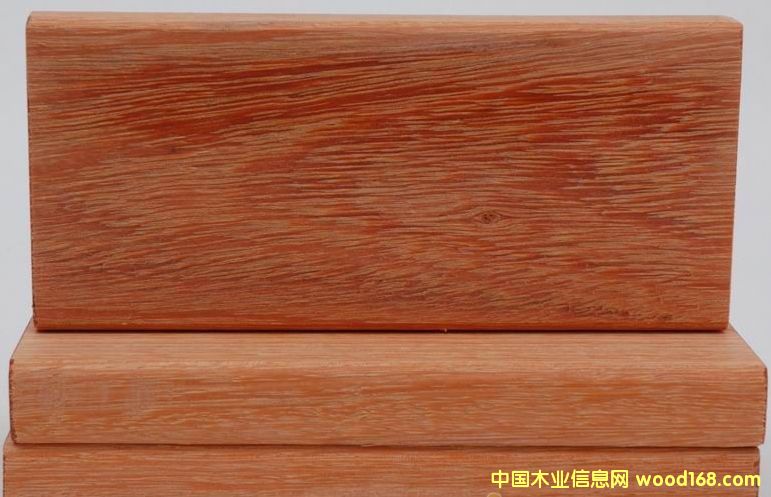 �c���鿴����˹  ����˹�r��  ����(y��ng)����˹�Ŵ�DƬ