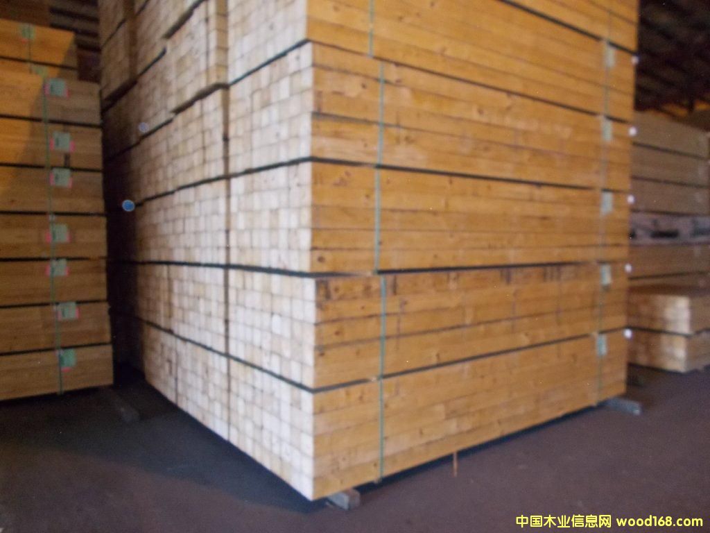 �c���鿴�Ϸ��� ����ľ�Ŵ�DƬ