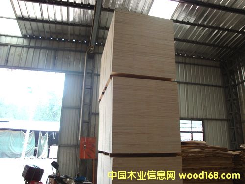 ��ľ���b�����z�ϰ��Ԕ��(x��)��B