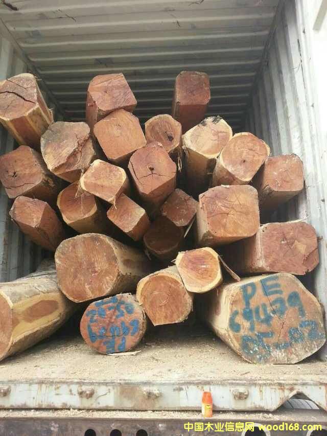 �c(di��n)���鿴�t̴��Ŵ�DƬ