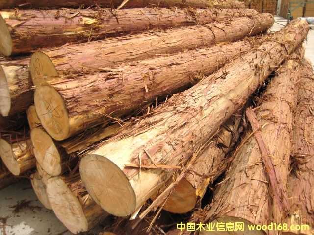 �ձ��uľ��Ԕ��(x��)��B