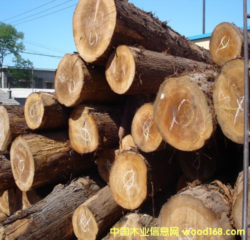 �ձ�ɼľ��ɼ��Ԕ��(x��)��B