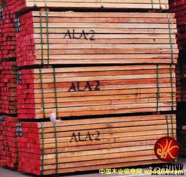 �c���鿴�S����Ŵ�DƬ