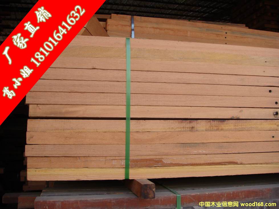 �c���鿴ɽ��ľ����ľ�Ŵ�DƬ