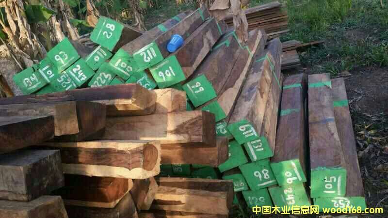 微凹黃檀的詳細(xì)介紹