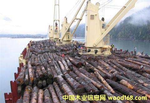 �c���鿴�M��ľ�����п��\����ʲôҪ������M���M�ڈ��P�����Ŵ�DƬ