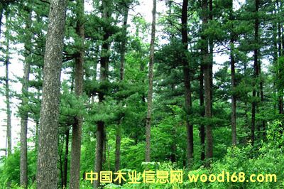 ��Ҫ�������I(y��)�M(j��n)�ڼҾ߈��P(gu��n)��z�����Ϻ��C(j��)�����P(gu��n)��