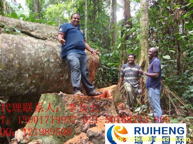 �c���鿴��֪��ô�ň��P�M�ڰ������Fľ����Ҫ��Щ�C���ļ��Ŵ�DƬ