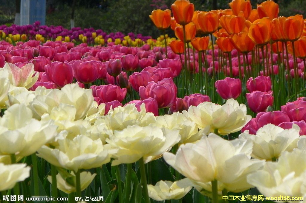 ��Щ����ֲ������Ҫ�M(j��n)�ڵ��Ϻ��C(j��)��(ch��ng)��(b��o)�P(gu��n)��