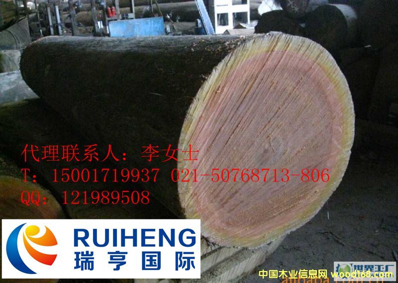 �c���鿴�M��ϡ��ľ�ĵ��������Q��Ҫ�䰸���Ϻ��C�����P�е�Ԕ���Y��