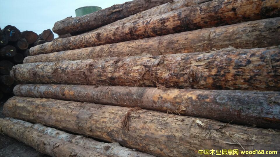 �c���鿴�����ɷŴ�DƬ