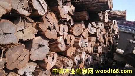 ��ľ��Ԕ����B