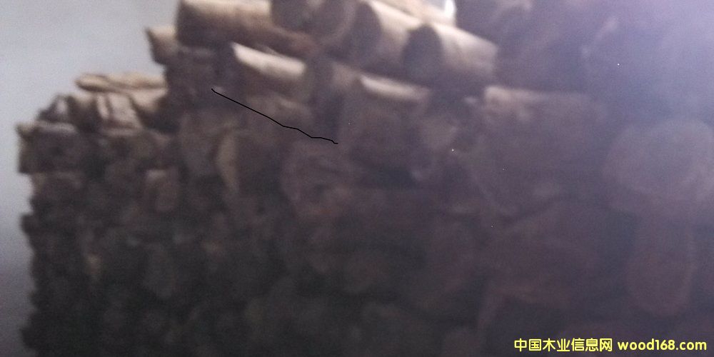 Ѫ̴��Ԕ����B