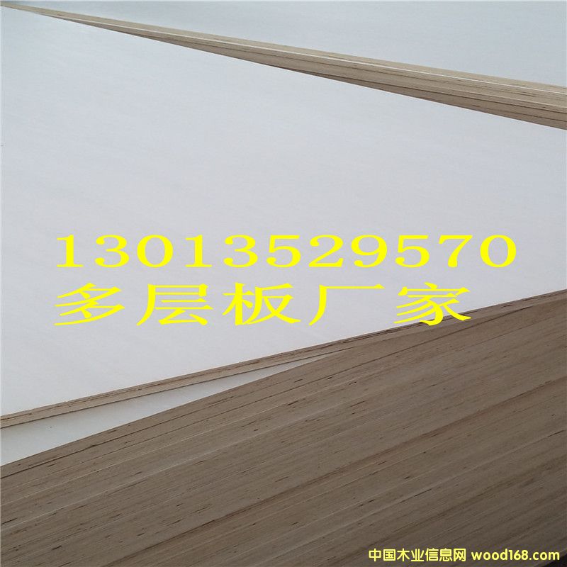 �c���鿴Ư�ח�ľ���Ӱ�Ŵ�DƬ