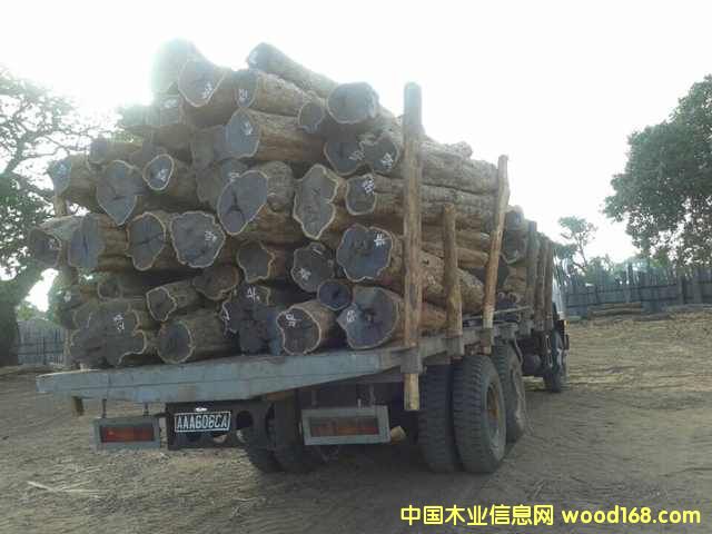 �Ϲ�̴���|�Ǻ��S̴����ľ��Ԕ��(x��)��B