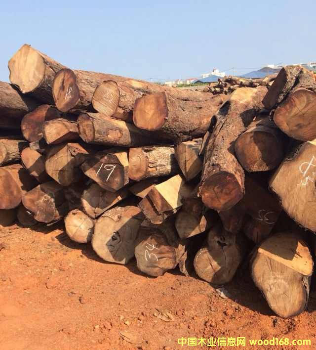 ī�����׃��