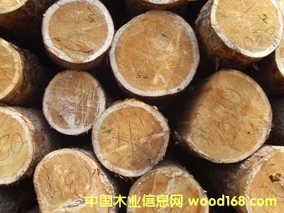 ����(y��ng)鲘�ԭľ