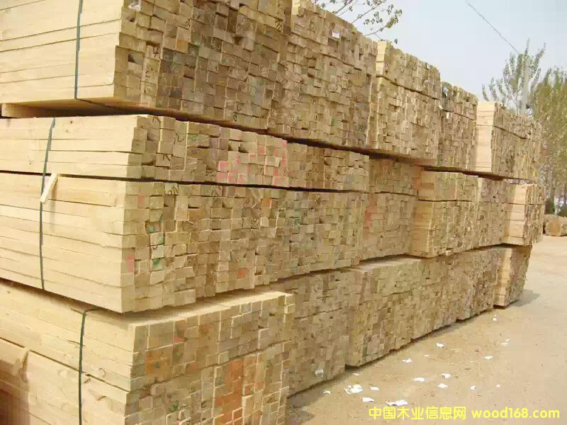 ��ľľ����Ԕ��(x��)��B