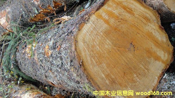 ��ľԭľ��Ԕ��(x��)��B