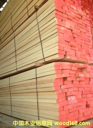 �W�ޙ�ľ��Ԕ��(x��)��B