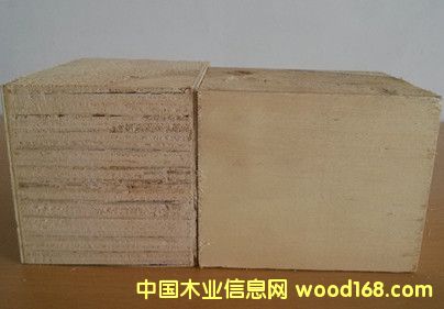 ����ľ�бP���z�ϵ��z�ϰ����Ӱ��_�Չ|�K�ǶՉ|�_�ȵ�Ԕ��(x��)��B