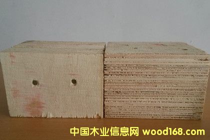 ����ľ�бP��ȫɰ����z�ϰ����Ӱ��_�յ�Ԕ��(x��)��B