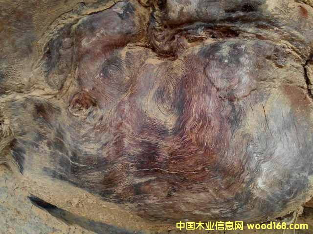 �c���鿴�S����ľ�Ŵ�DƬ