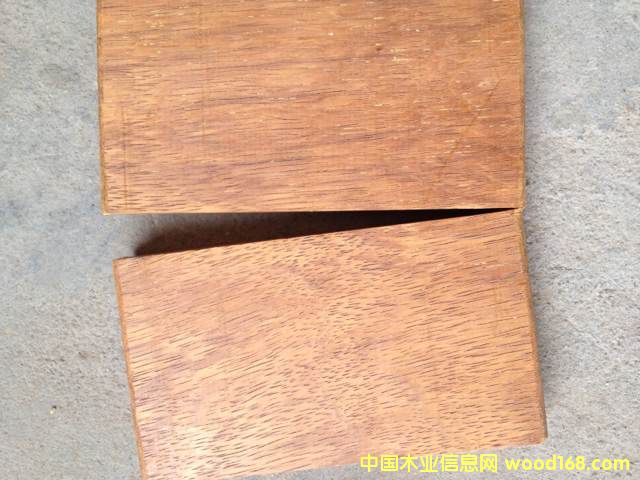 ɽ�����}��ľ��Ԕ����B