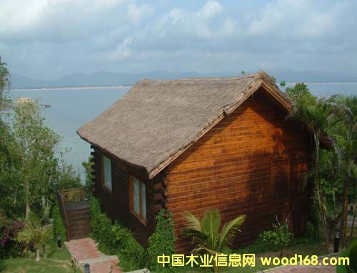 ɽ������ľľ�ݵ�Ԕ����B