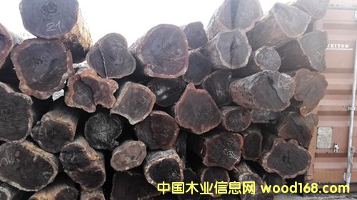 ������֦�������Kľ����̴ţ��ľ