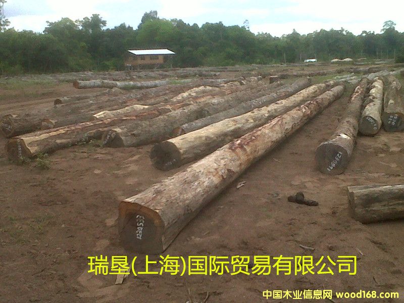 ������֦��Ԕ��(x��)��B