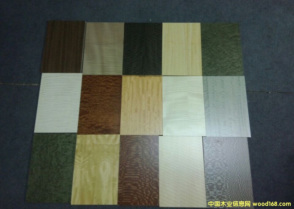 ȾɫľƤ��Ԕ����B