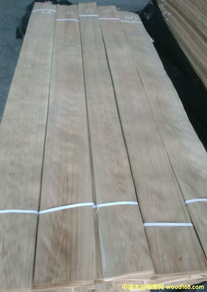 �ľɽ�y��Ԕ����B