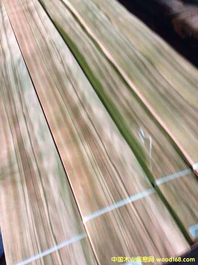 �O��ľ��Ԕ����B