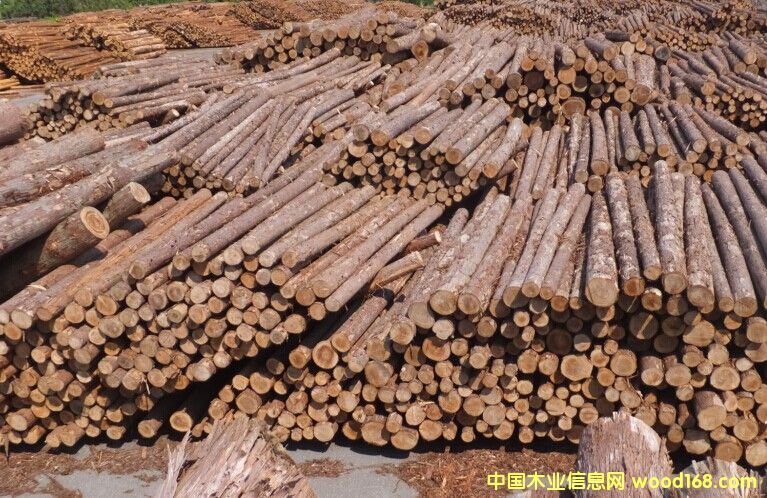 �uľ��Ԕ��(x��)��B