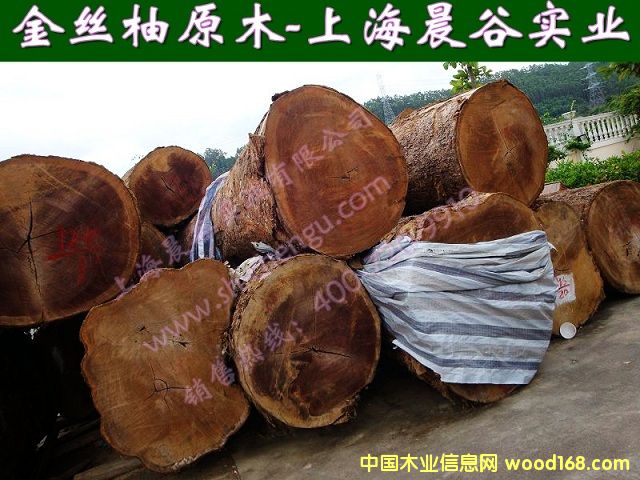 ��ľ��Ԕ����B