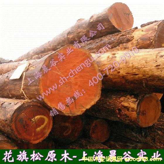 �����ɵ�Ԕ����B