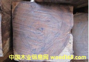 �ϓ�t��֦����ֺ�S̴��