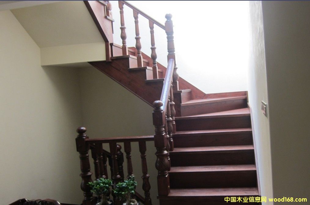 �c���鿴��ľ���ݷŴ�DƬ